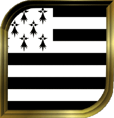 Drapeaux France Régions Bretagne Carré 