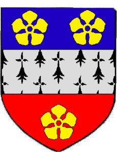 Drapeaux France Départements - Villes 22 TREGUEUX 