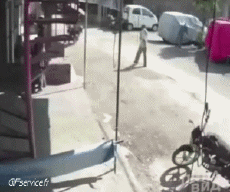 Humour - Fun Animaux Singes Serie 01 