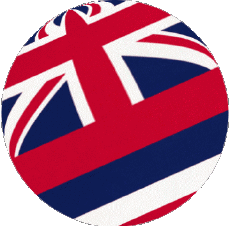 Flags America U.S.A - States Hawaii Sphere - Cube 
