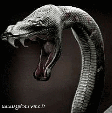 Humour - Fun Animaux Serpents Serie 01 