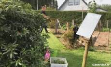 Humor -  Fun MENSCHEN Auf Arbeit Idiot  Fail Serie 02 