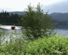 Humor -  Fun Transport Boats Fun - Win 