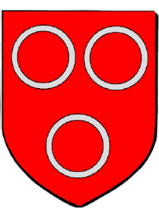 Banderas Francia Departamentos - Ciudades 71 MACON 