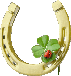 Messages French Bonne Chance Transparent Background 08 