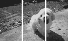 Humor -  Fun 3d Effects 3D - Lines - Bands 