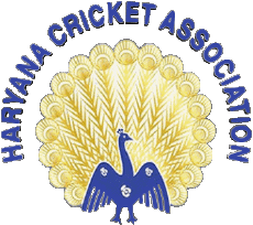 Sports Cricket India Haryana CA 