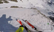 Humor -  Fun Sports Ski Free Ride Fun Win 