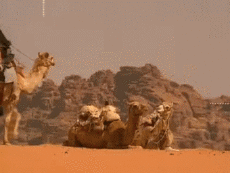 Multi Media Channels - TV France Voyage Jingle Pub 