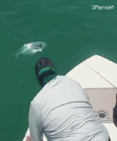 Humor -  Fun PEOPLE Fishermen Fun Fail 