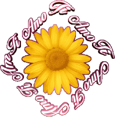 Messages Italien Ti Amo 02 