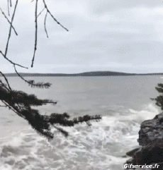 Humour - Fun Lieux - Nature Bord de Mer 