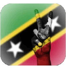 Banderas América Saint Kitts y Nevis Plaza 2 