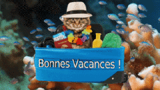 Messages Français Bonnes Vacances Fond Animé 006 
