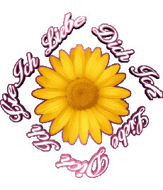 Messages Allemand Ich Liebe Dich 02 