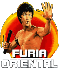 Multi Media Movies International Bruce Lee Furia Oriental 
