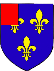 Banderas Francia Departamentos - Ciudades 18 MEHUN SUR YEVRE 