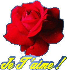 Messages French Je T'aime 01 