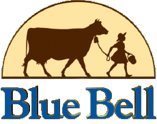 Food Ice cream Blue Bell Creameries 