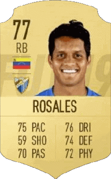 Multimedia Vídeo Juegos F I F A - Jugadores  cartas Venezuela Roberto Rosales 