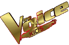 Multi Média Emission  TV Show Musique Divers The Voice 
