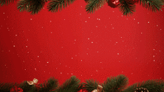 Nachrichten Spanisch Felices Fiestas Video 