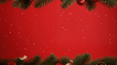 Messagi Tedesco Fröhliche  Weihnachten Video 