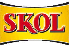 Bebidas Cervezas Brazil Skol 