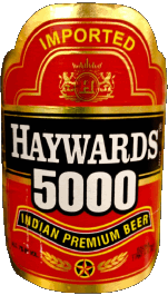 Getränke Bier Indien Haywards 