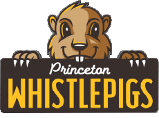 Sportivo Baseball U.S.A - Appalachian League Princeton WhistlePigs 