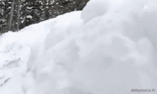 Humor -  Fun Sports Ski Free Ride Fail - Gamelles 