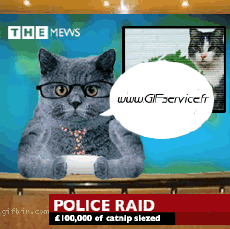 Humor -  Fun Tiere Katze 01 