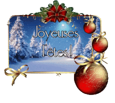 Nachrichten Französisch Joyeuses Fêtes (Noël) Serie 14 