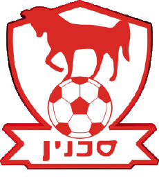 Sports Soccer Club Asia Israel Bnei Sakhnin FC 