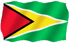 Bandiere America Guyana Sventola 
