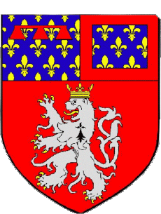 Blason-Drapeaux France Départements - Villes 13 BERRE L ETANG 