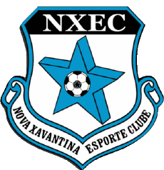 Sports Soccer Club America Logo Brazil Mato Grosso Nova Xavantina Esporte Clube 