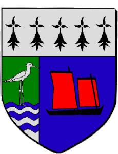 Banderas Francia Departamentos - Ciudades 56 SENE 