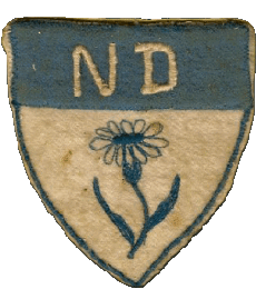 1914-Sports Soccer Club France Nouvelle-Aquitaine 64 - Pyrénées-Atlantiques Pau FC 