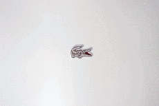 Moda Abbigliamento sportivo Lacoste 