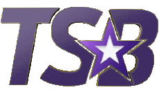 Multi Media Channels - TV World Indonesia TSB Indonesia 