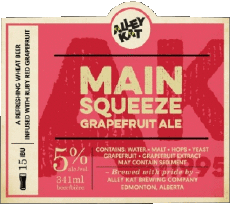 Bevande Birre Canada Alley Cat 