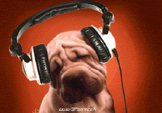 Umorismo -  Fun Animali Cani 01 