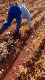 Umorismo -  Fun PERSONE Al lavoro Fun - Win 02 