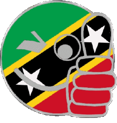 Fahnen Amerika St. Kitts und Nevis Smiley - OK 