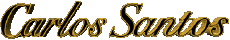Moda Zapatos Carlos Santos 