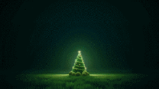 Nachrichten Spanisch Felices Fiestas Video 