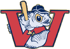 Deportes Béisbol U.S.A - A A B Winnipeg Goldeyes 