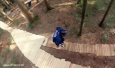 Humor -  Fun Sports Roller Skate Fun - Win 