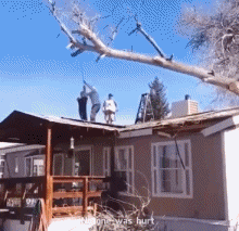 Humor -  Fun PEOPLE Lumberjack - Timber ! Fail 